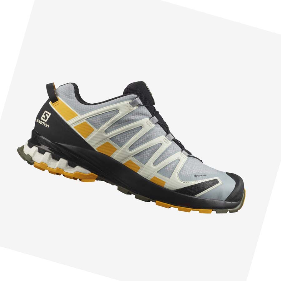 Salomon XA PRO 3D v8 GORE-TEX Erkek Patika Koşu Ayakkabısı Siyah Gri | TR 3506ZUT